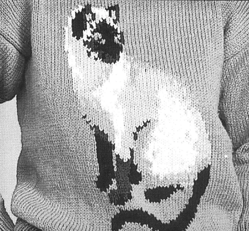 Siamese Cat Pullover Pattern